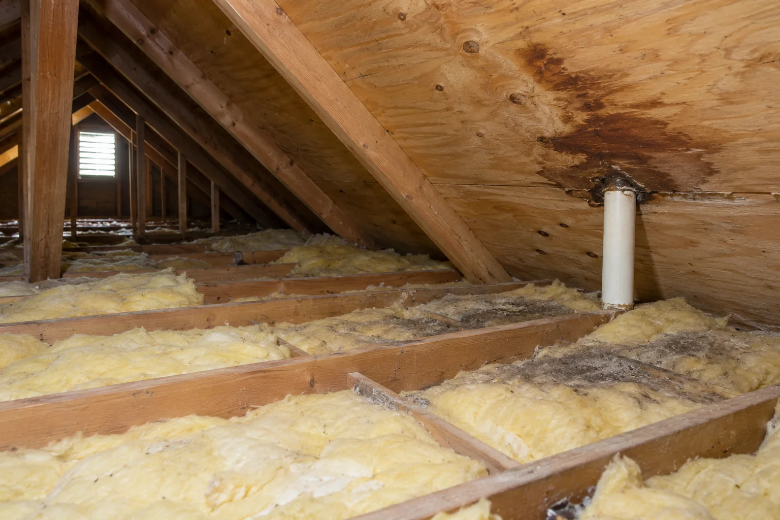 Attic insulation between timber joists below roof sheathing with water staining around a pipe