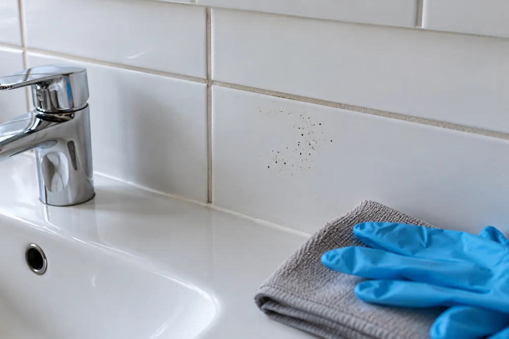 Small patch of dark specks on glazed bathroom tile beside unused gloves and a cloth